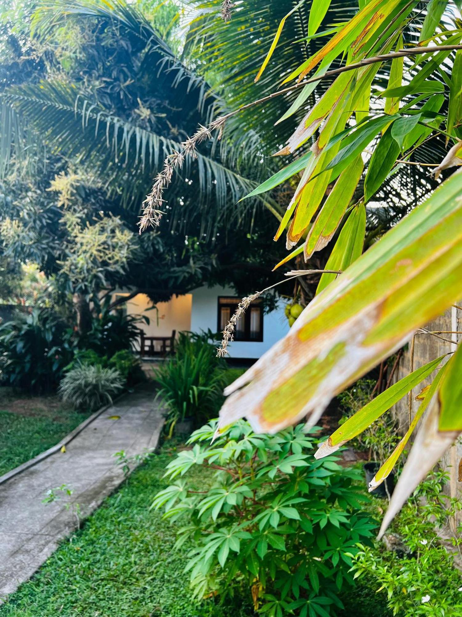 Villa The Mango Retreat à Mirissa Extérieur photo